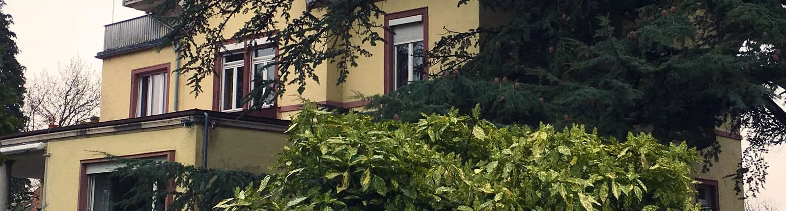 Ein gelbes mehrstöckiges Wohnhaus mit roten Fensterrahmen, teilweise verdeckt von großen Bäumen und dichtem Strauchwerk im Vordergrund.