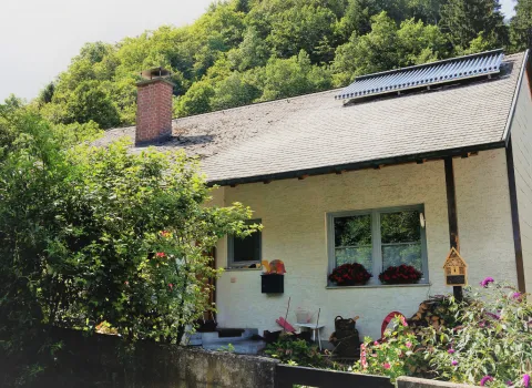 Ein Einfamilienhaus mit Schieferdach und Solarkollektoren, umgeben von üppiger Vegetation. Vor dem Haus stehen Blumenkästen und ein Insektenhotel.