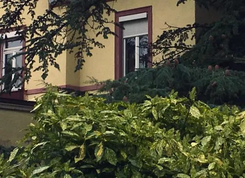 Ein gelbes mehrstöckiges Wohnhaus mit roten Fensterrahmen, teilweise verdeckt von großen Bäumen und dichtem Strauchwerk im Vordergrund.