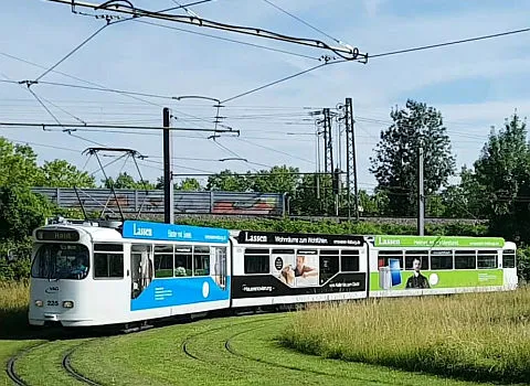 Eine historische Straßenbahn fährt auf einer kurvigen Gleisstrecke durch eine grüne Wiesenlandschaft.
