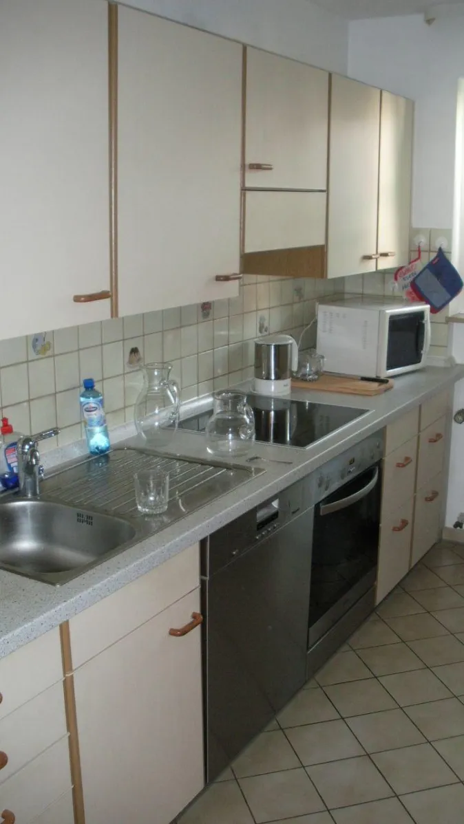 Eine schlichte Küche mit beigefarbenen Fronten und braunen Griffen zeigt eine lange Arbeitsplatte mit Spüle, Geschirrspüler und Backofen. t, teilweise mit floralen Motiven verziert.